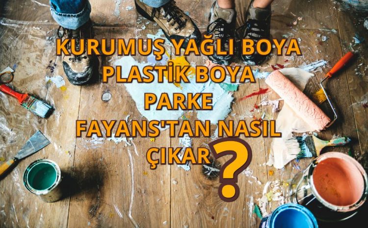  Zeminden Kurumuş Boya Nasıl Çıkarılır0 (0)