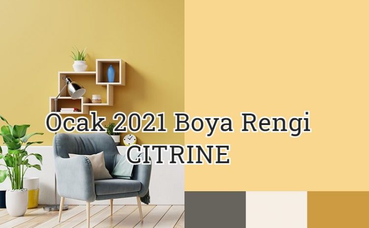  Ocak 2021 Boya Rengi0 (0)