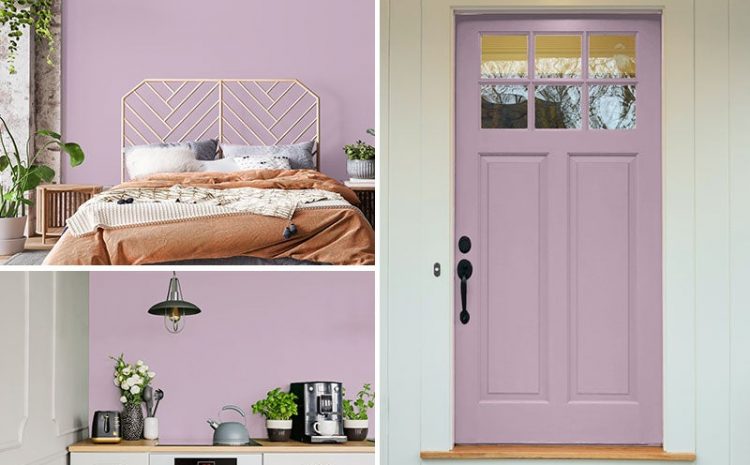  MAYIS 2021 BOYA RENGİ – AMETHYST0 (0)