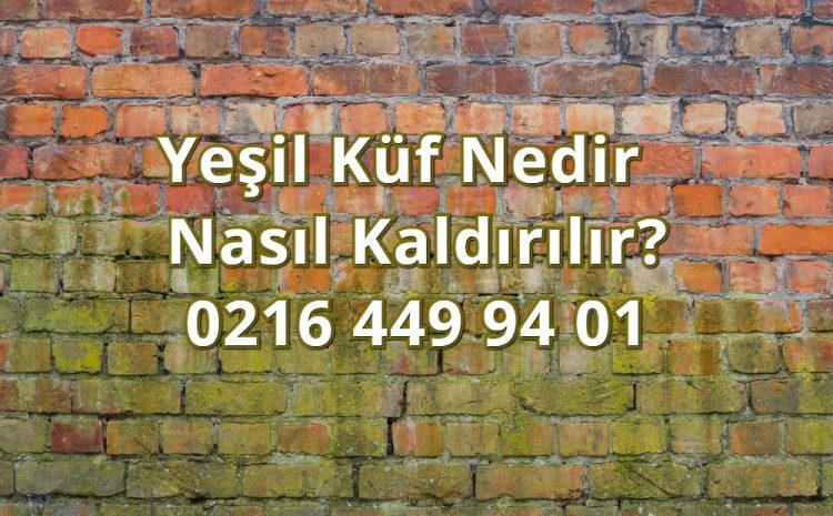  Yeşil Küf Nedir ve Nasıl Kaldırılır?0 (0)