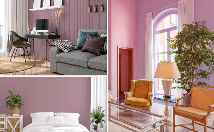  MAYIS 2022 BOYA RENGİ  – PEMBE MOR0 (0)